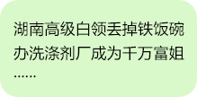 湖南省富達日化有限公司 湖南省富達日化有限公司